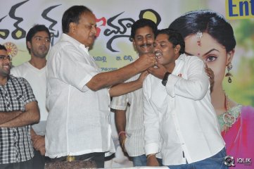Brother Of Bommali Movie Success Meet